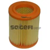 PURFLUX Luftfilter A1392