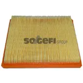 FRAM Luftfilter CA9054