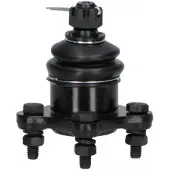 KAVO PARTS Traggelenk für HYUNDAI TERRACAN (HP) SBJ-3025