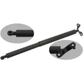 SWAG 10 92 9334 Gasfeder Heckklappendämpfer passend für MERCEDES-BENZ M-Klasse (W164) 561mm