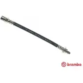 Brembo Bremsschläuche OPEL,SAAB,VAUXHALL T 59 008 90468320,440019018915,4483285 Bremsschlauch HOS3128,562352,562359,90425239
