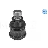 Meyle Traggelenk 16-16 010 0009