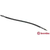 Brembo Bremsschlauch ESSENTIAL LINE T 23 061