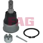 Fag Traggelenk für HONDA CR-V II (RD) 825 0424 10