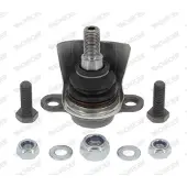 Monroe Traggelenk L10505