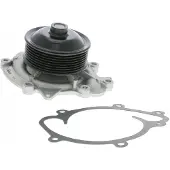 VAICO Wasserpumpe [Hersteller-Nr. V30-50059] für Mercedes-Benz, Jeep, Chrysler