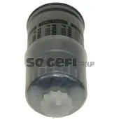 FRAM Kraftstofffilter P5651