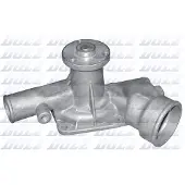DOLZ Wasserpumpe O104