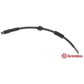 Brembo Bremsschläuche FORD,HONDA T 24 116 1302600,1306240,1309224 Bremsschlauch 1321454,1387272,1609128,3M512282EA,3M512292HB,26059301,26059302
