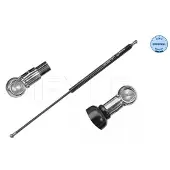 Meyle 40-40 910 0018 Gasfeder Heckklappendämpfer für CITROËN C4 Coupe (LA) 557mm