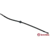 Brembo Bremsschläuche PEUGEOT,CITROËN T 61 036 480691,96037347,440019019115 Bremsschlauch 440019025870,HOS3290,168014,480685,4806E9,96132698