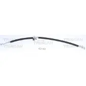 TRISCAN Bremsschlauch 8150 40139