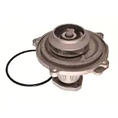 MAXGEAR Wasserpumpe 47-0055