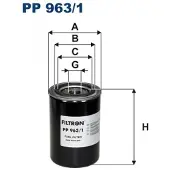 FILTRON Palivovy filtr