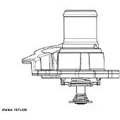 WAHLER Thermostat, Kühlmittel 3171.82D