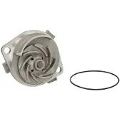 THERMOTEC Wasserpumpe D1F060TT
