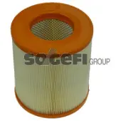 FRAM Luftfilter CA10524