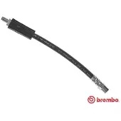 Brembo Bremsschläuche AUDI T 85 066 8D0611775D Bremsschlauch