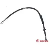 Brembo Bremsschlauch ESSENTIAL LINE T 85 157