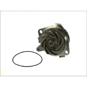 THERMOTEC Wasserpumpe D1D018TT