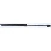 TRISCAN Gasfeder, Motorhaube 8710 23134
