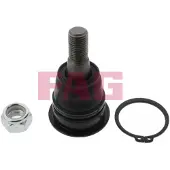 Fag Traggelenk Vorne Unten für NISSAN ALMERA TINO (V10) 825 0002 10