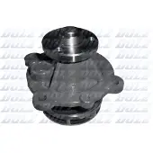 DOLZ Wasserpumpe D301