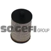 FRAM Kraftstofffilter C9816ECO