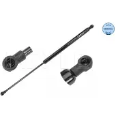 Meyle 16-40 910 0006 Gasfeder Heckklappendämpfer für RENAULT LAGUNA II Grandtour (KG0/1) 534mm