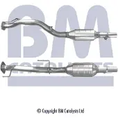 BM CATALYSTS Katalysator BM91176H