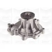 Graf PA1107 Wasserpumpe, Motorkühlung