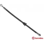 Brembo Bremsschläuche CHEVROLET,DAEWOO T 10 003 96534545 Bremsschlauch