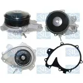Saleri SIL Wasserpumpe PA1647