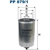 FILTRON Kraftstofffilter PP 879/1