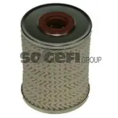 PURFLUX Kraftstofffilter C494E