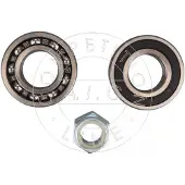 AIC Radlagersatz Vorne für RENAULT 4 (112) 62mm 59593