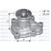DOLZ Wasserpumpe O133