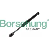 Borsehung Gasfeder Motorhaubendämpfer für BMW 5 Touring (G31) B12476