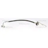 TRISCAN Bremsschlauch F10x1 & Banjo IAM-Expertise für TESLA MODEL