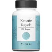 Phytochem Nutrition Ug (Haftungsbeschrän CREATIN KAPSELN 800 mg 250 St