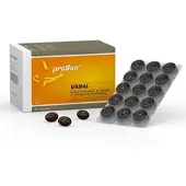Prosan Pharmazeutische Vertriebs GmbH PROSAN Vasal Kapseln 90 St