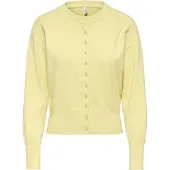 ONLY Onlmio Ls O-Neck Button Cardigan Ex Knt
