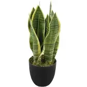 Lex Kunstpflanze Bogenhanf Tischpflanze Zimmerpflanze 9 Blätter 33cm