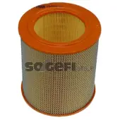 FRAM Luftfilter CA4813