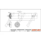 Dr!ve+ Kraftstofffilter DP1110.13.0273
