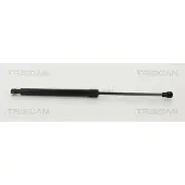TRISCAN Gasfeder, Koffer-/Laderaum 8710 11242