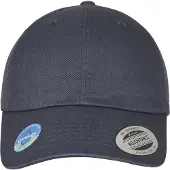 Flexfit Flex Cap "Unisex Ecowash Dad Cap"