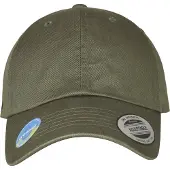 Flexfit Flex Cap "Unisex Ecowash Dad Cap"