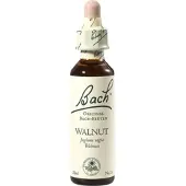 Nelsons Bach-Blüte Walnut 20 ML