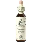 Nelsons Bach-Blüte Clematis 20 ML